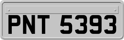 PNT5393