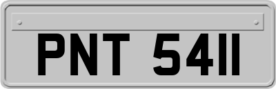 PNT5411