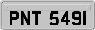 PNT5491
