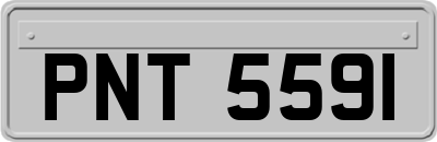 PNT5591