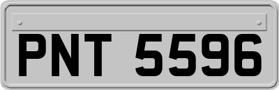 PNT5596