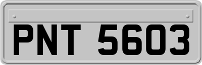 PNT5603
