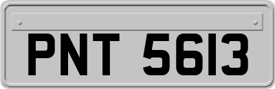 PNT5613