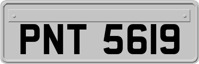 PNT5619
