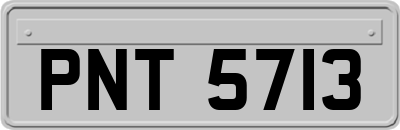 PNT5713