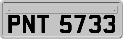 PNT5733