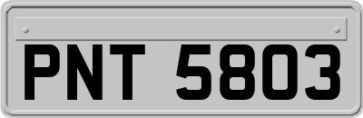 PNT5803