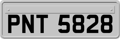 PNT5828