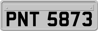 PNT5873