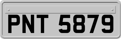 PNT5879