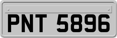 PNT5896