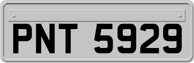 PNT5929