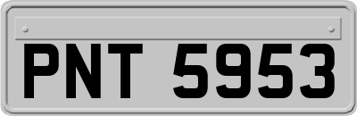 PNT5953