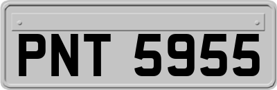 PNT5955
