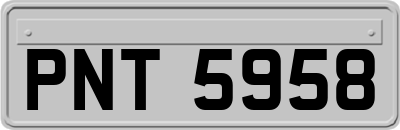 PNT5958
