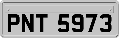 PNT5973