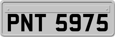 PNT5975