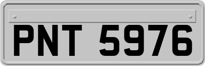 PNT5976