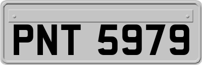 PNT5979