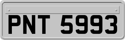 PNT5993