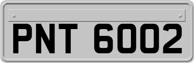 PNT6002