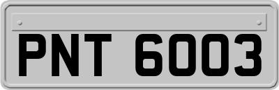 PNT6003