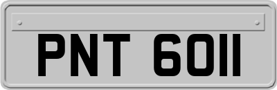 PNT6011