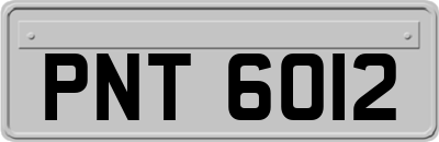 PNT6012