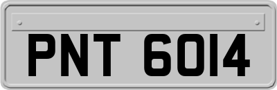 PNT6014