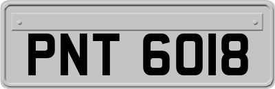 PNT6018