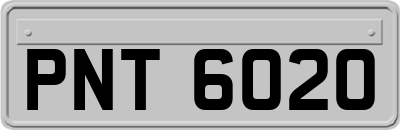PNT6020