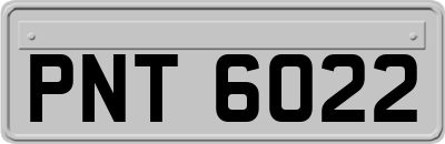 PNT6022