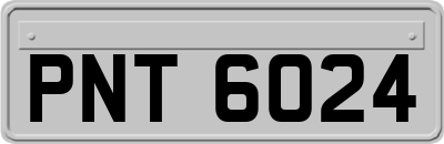 PNT6024