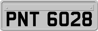 PNT6028