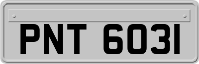 PNT6031