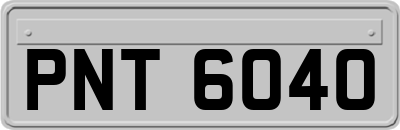 PNT6040