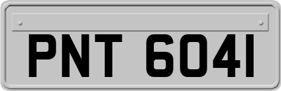 PNT6041