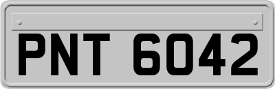 PNT6042