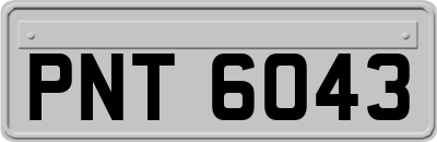 PNT6043
