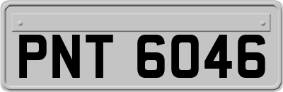 PNT6046