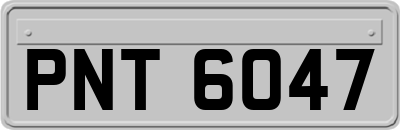 PNT6047