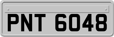 PNT6048