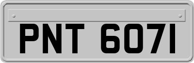 PNT6071