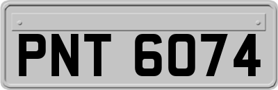 PNT6074