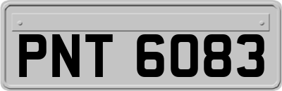 PNT6083