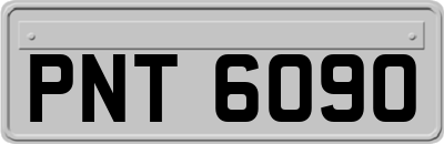 PNT6090