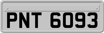PNT6093