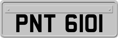 PNT6101