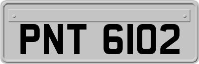 PNT6102