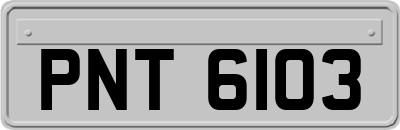 PNT6103